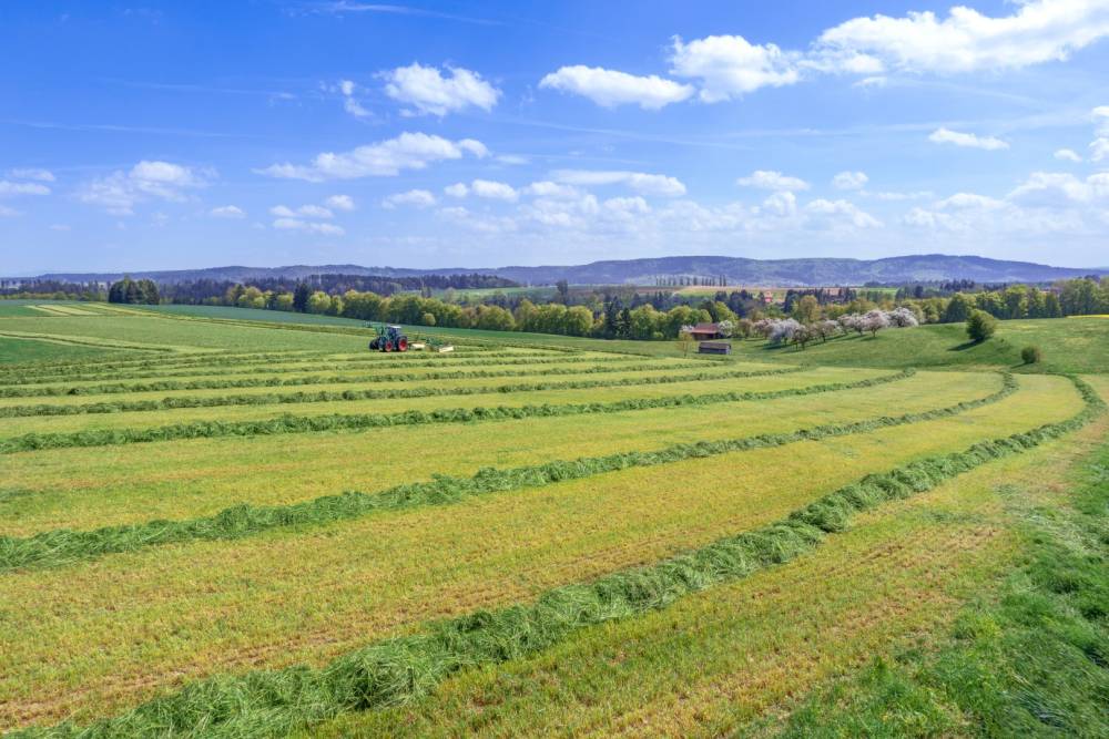 Ensilage d'herbe à Bougey
