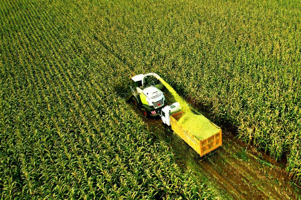Ensilage maïs à Bougey