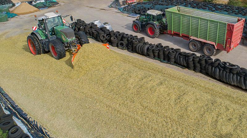 ensilage éleveur
