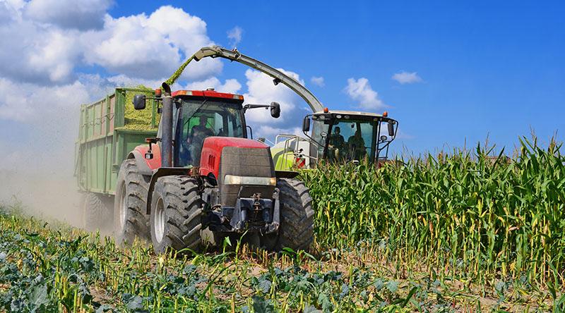 travaux agricoles