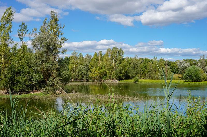 lac